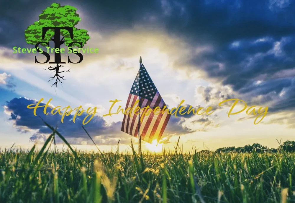 Expert lawn mowing service in Rosenberg, TX by Steve's Tree Service