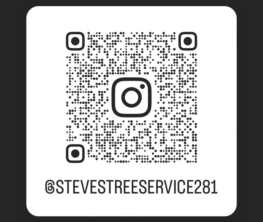 Reliable lawn mowing service in Rosenberg, TX by Steve's Tree Service