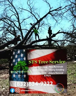 Steve's Tree Service Logo