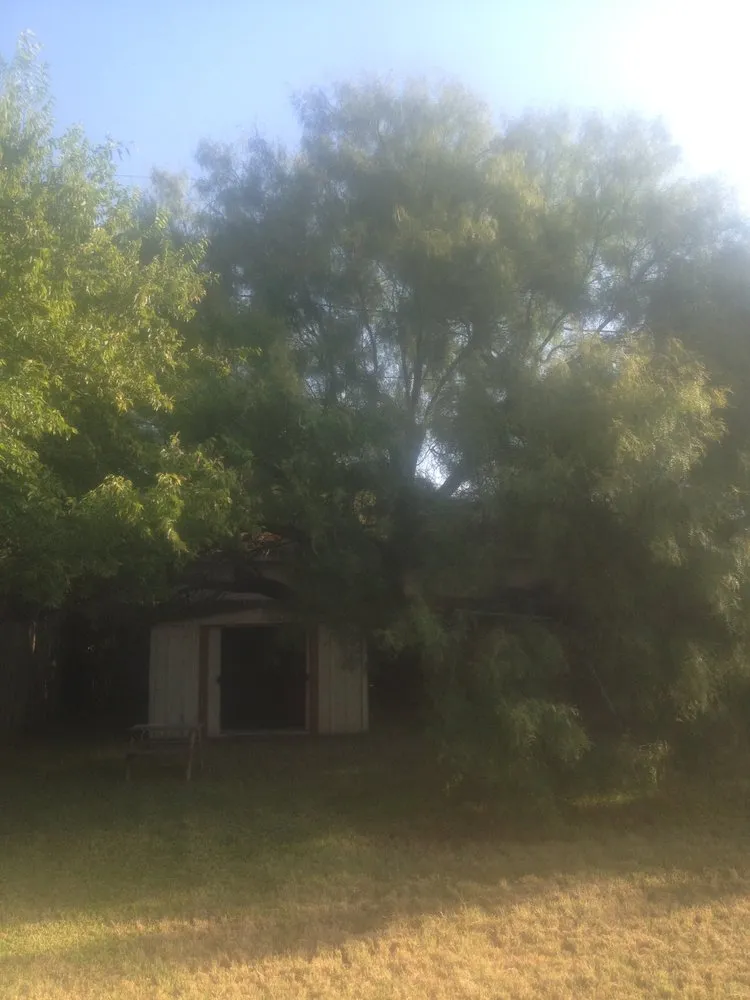 Professional yard maintenance in Weatherford, TX - Steve's Tree Service