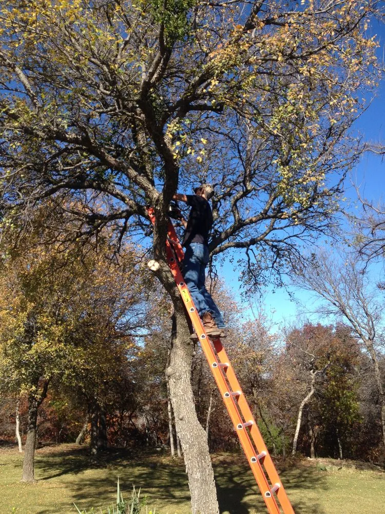 Top-rated residential landscaping with custom design in Weatherford, TX by Steve's Tree Service