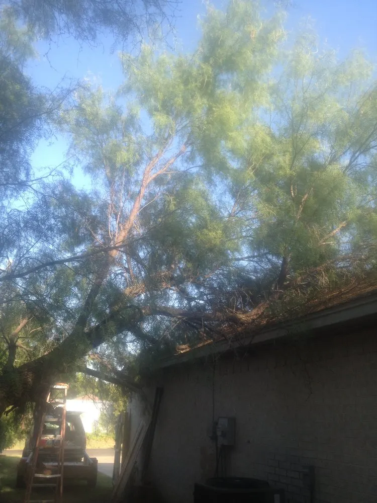 Affordable lawn care service for outdoor upgrades across Weatherford, TX - Steve's Tree Service