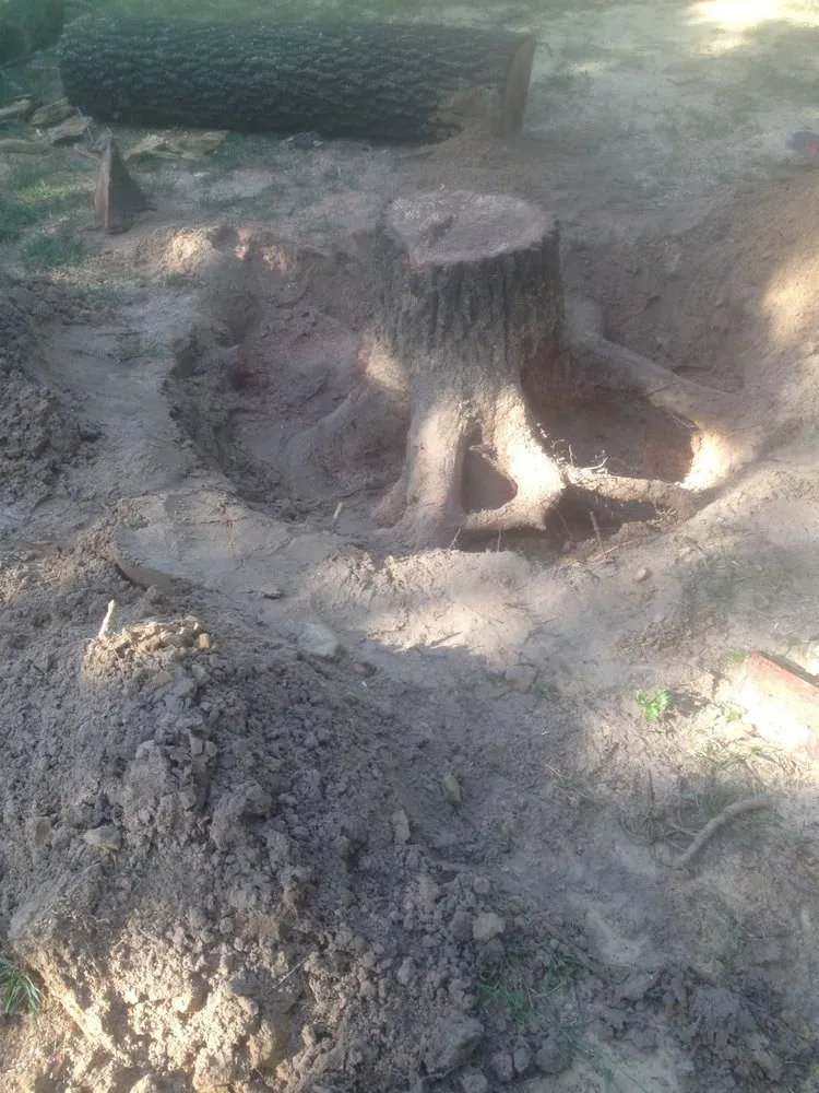 Affordable landscaping services for homes in Weatherford, TX by Steve's Tree Service