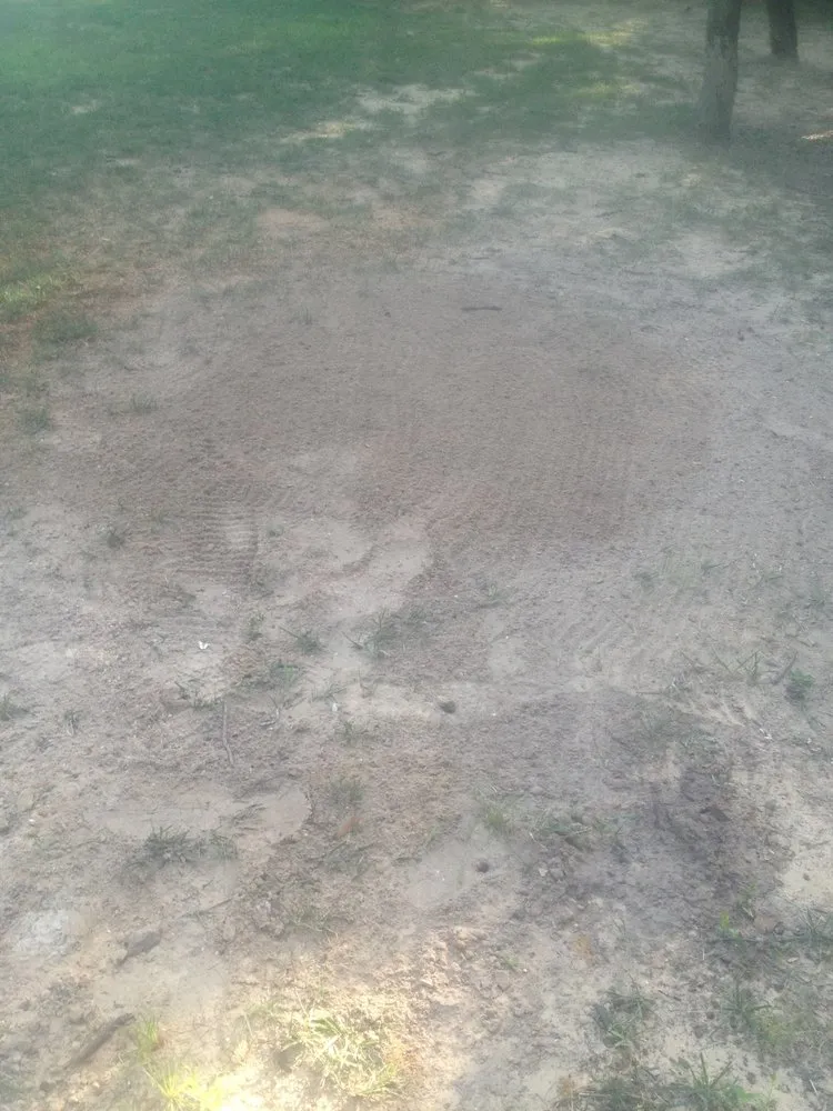 Reliable lawn mowing service in Weatherford, TX by Steve's Tree Service