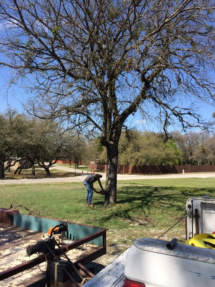 Professional outdoor landscaping in Weatherford, TX - Steve's Tree Service