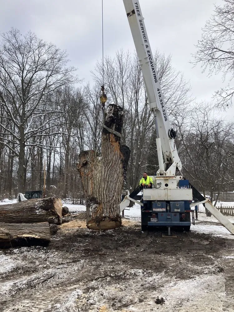 Custom yard maintenance for homes in Holland, OH by Steve's Tree Services