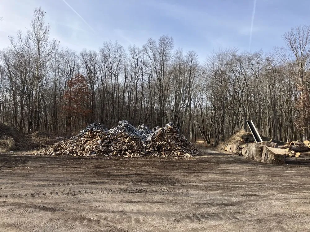 Professional lawn care service for beautiful yards in Holland, OH by Steve's Tree Services