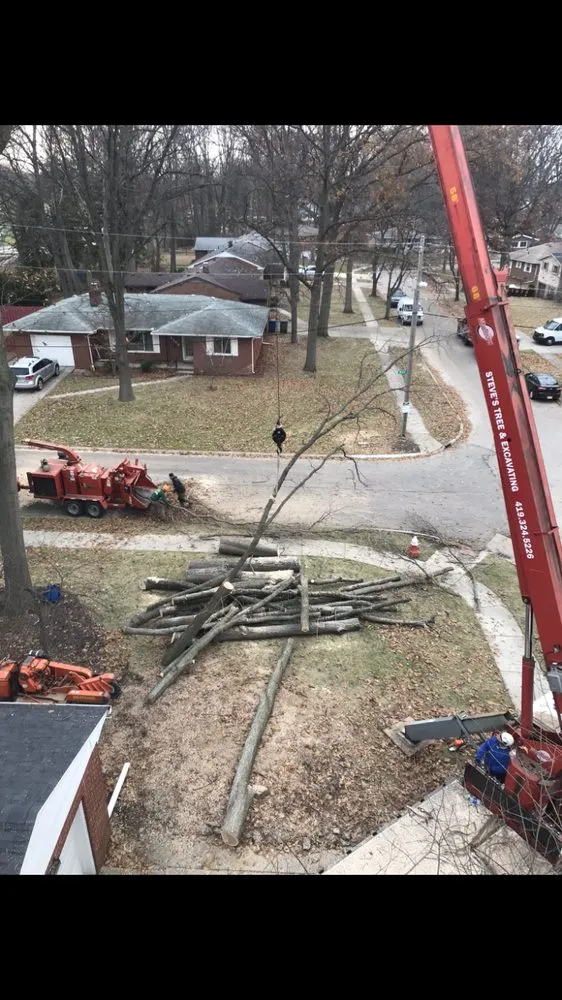 Trusted landscape design for homes in Holland, OH by Steve's Tree Services