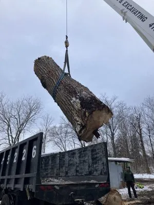 Steve's Tree Services