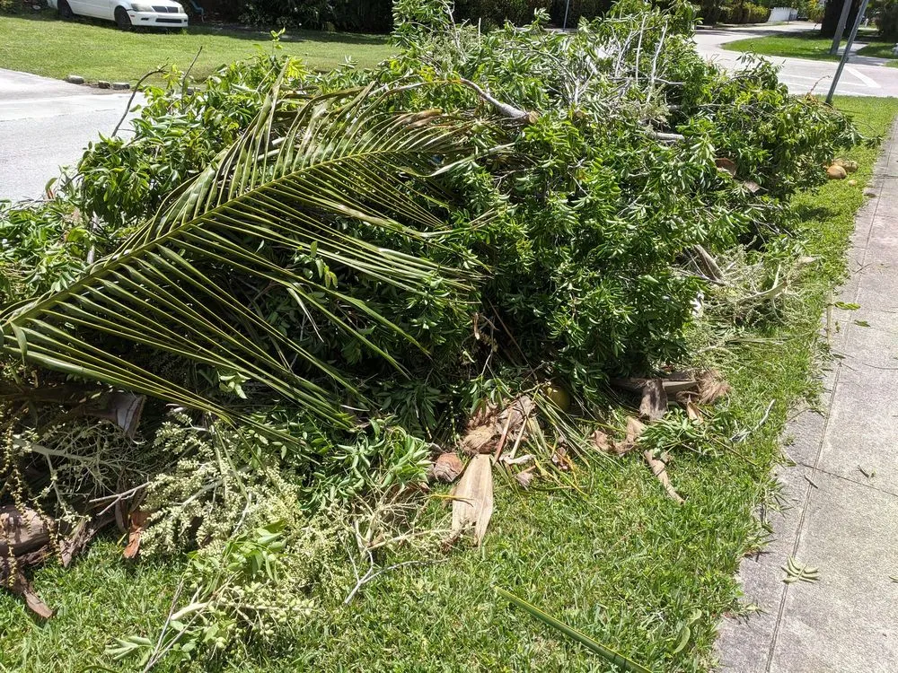 Top-rated landscape installation for homes across Riviera Beach, FL - Steve's Tree Trimming Service