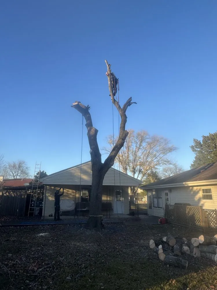 Reliable lawn mowing service in Fredericksburg, VA by Steves Trees