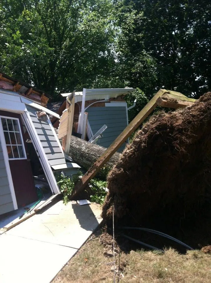 Reliable landscaping services experts serving Fredericksburg, VA - Steves Trees