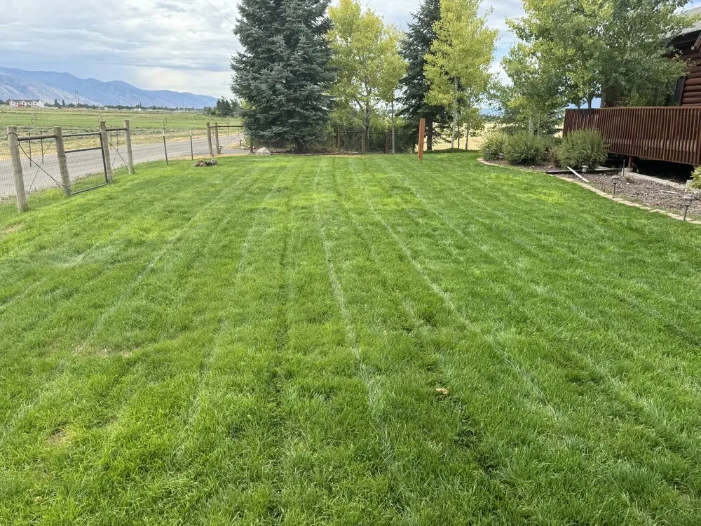 Professional lawn care service in Smithfield, UT - Stevie’s Lawn Care