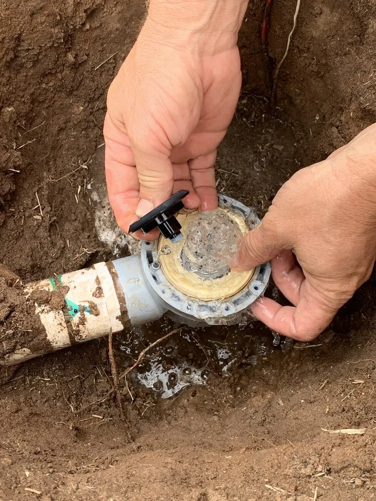 Top-rated landscaping services in Midland, TX - Steward's Landscaping