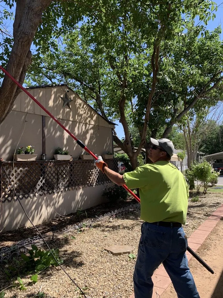 Expert landscape design in Midland, TX by Steward's Landscaping
