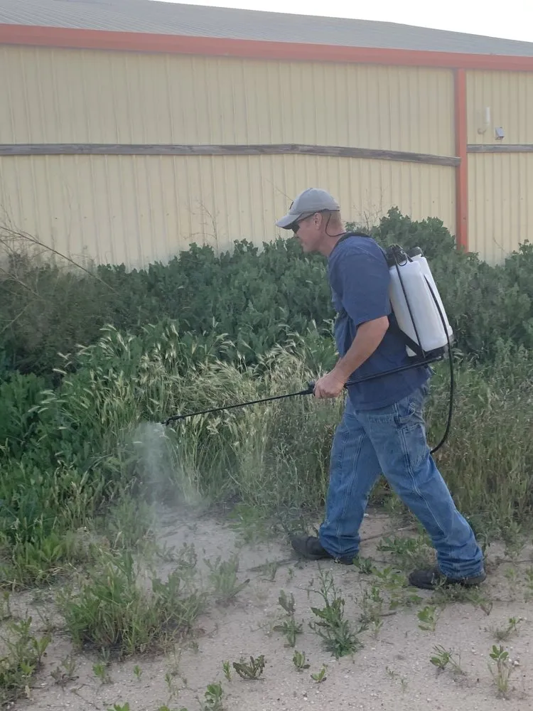 Custom landscape installation experts serving Midland, TX - Steward's Landscaping