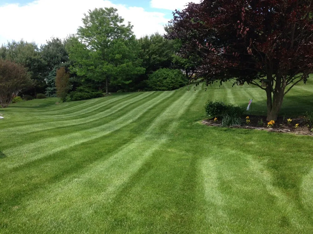 Top-rated residential landscaping in Wilmington, DE - Stewart Bros Turf