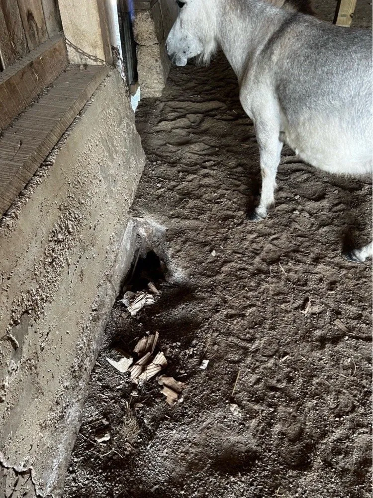 Trusted lawn care service in Lancaster, KY - Stewart Contracting