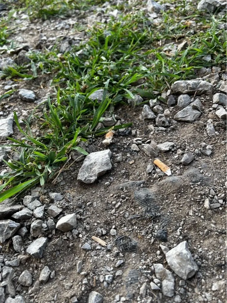 Expert outdoor landscaping in Lancaster, KY by Stewart Contracting