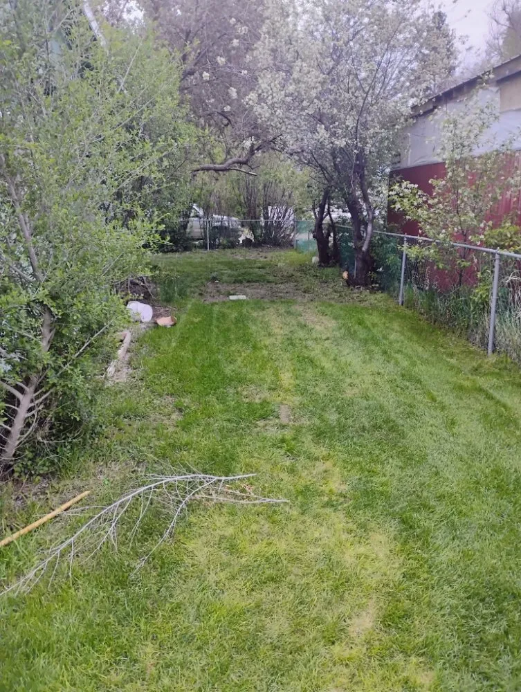 Expert lawn care service in Helena, MT - Stewart Family Landscaping