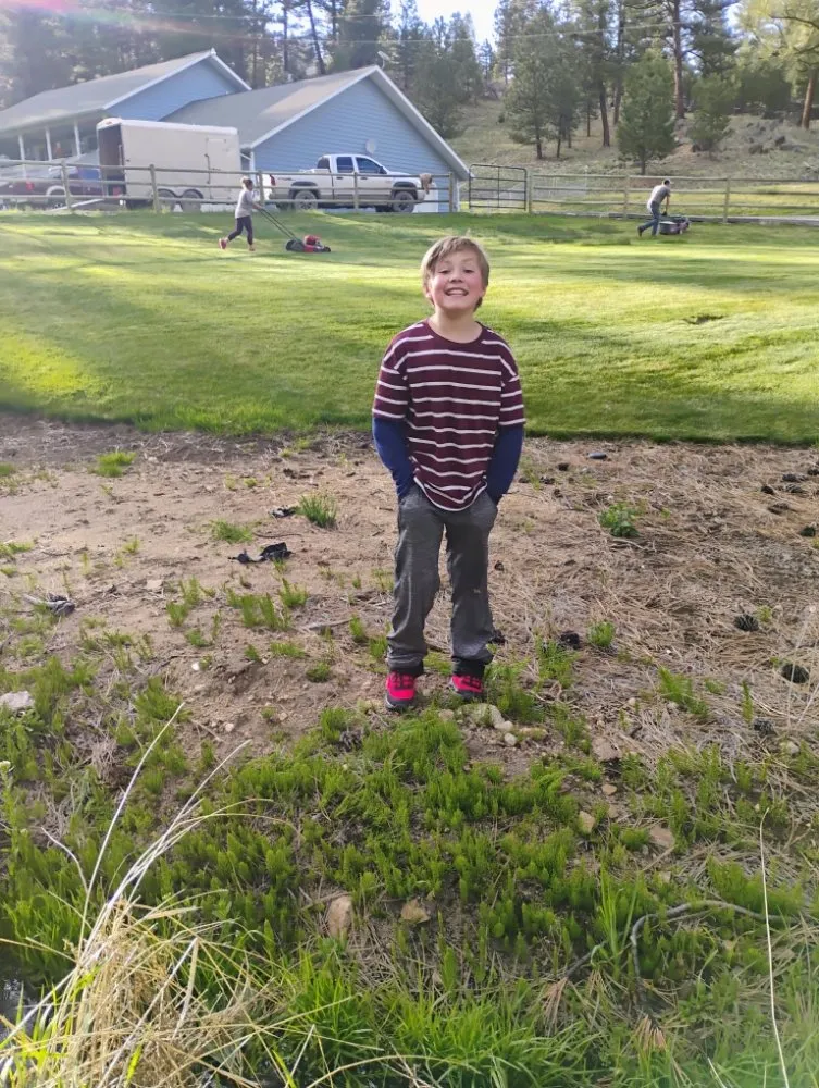 Local landscaping services for outdoor upgrades in Helena, MT by Stewart Family Landscaping