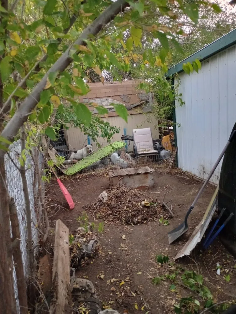Expert landscaping services in Helena, MT by Stewart Family Landscaping