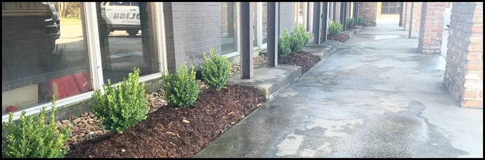 Local landscape installation experts serving Youngsville, LA - Stewart Grounds Management