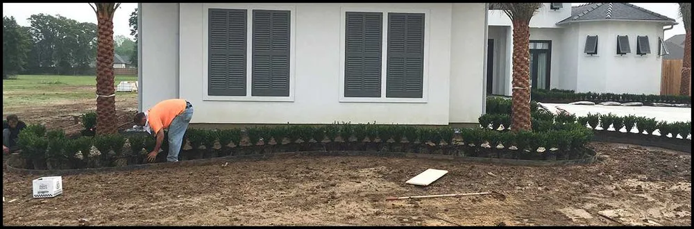 Professional yard cleanup service near you across Youngsville, LA - Stewart Grounds Management