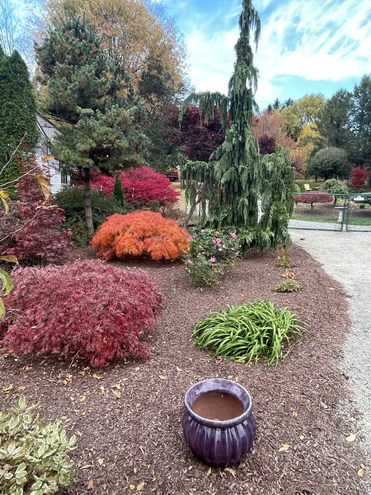 Affordable landscape design in Spring Church, PA - Stewart Landscaping & Garden