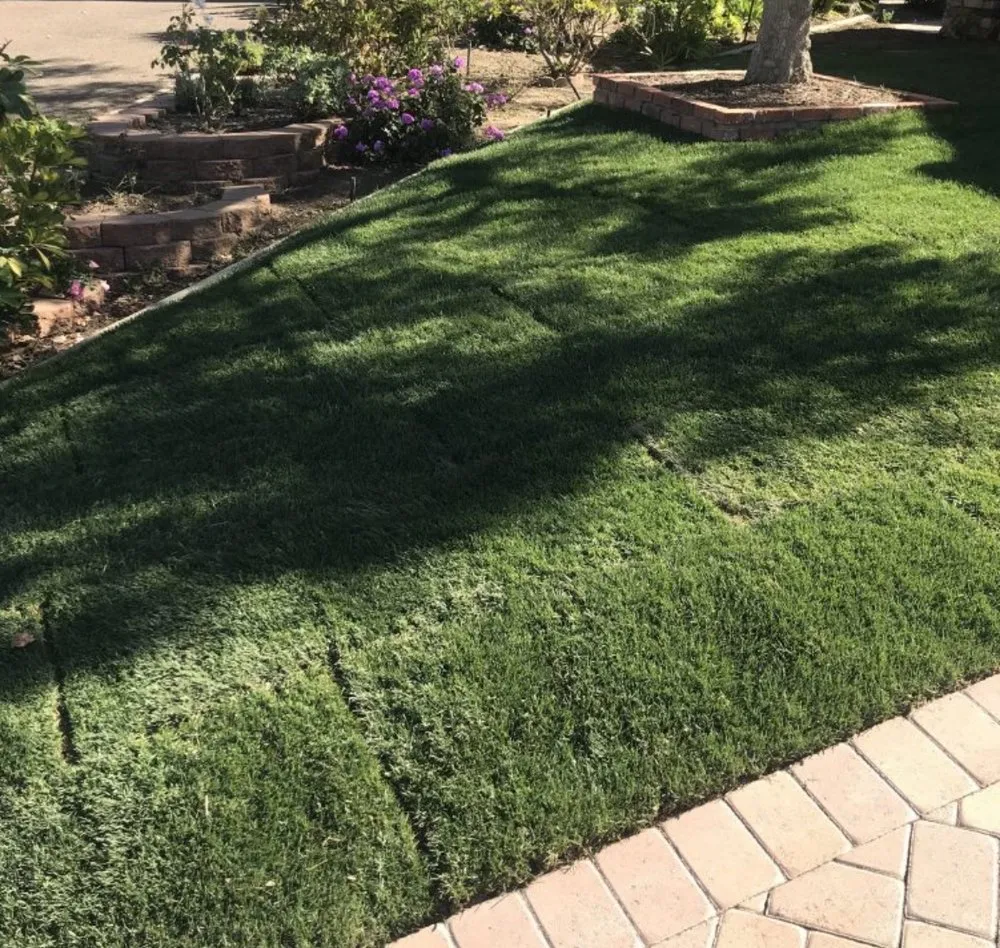 Professional landscape design in San Diego, CA by Stewart Landscaping
