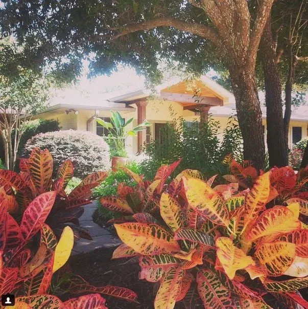 Reliable lawn care service in Tomball, TX by Stewart Lawn & Garden