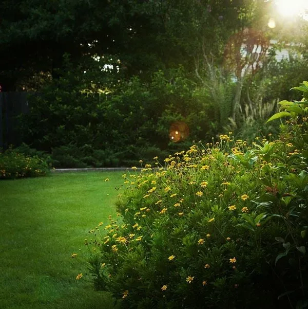 Professional outdoor landscaping for outdoor upgrades across Tomball, TX - Stewart Lawn & Garden