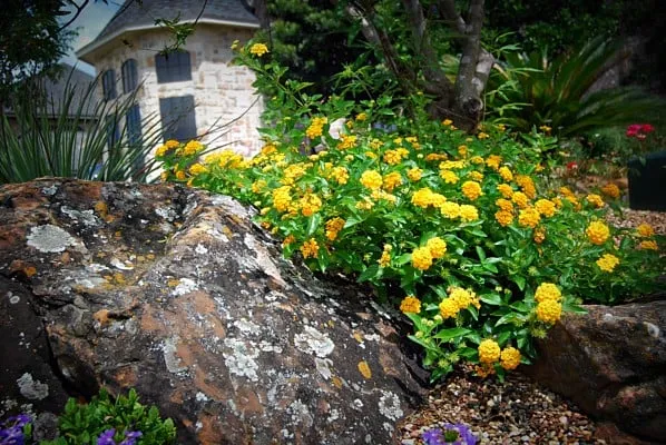 Reliable landscape installation in Tomball, TX - Stewart Lawn & Garden