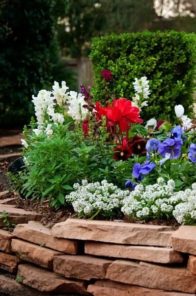 Reliable landscape design in Tomball, TX - Stewart Lawn & Garden