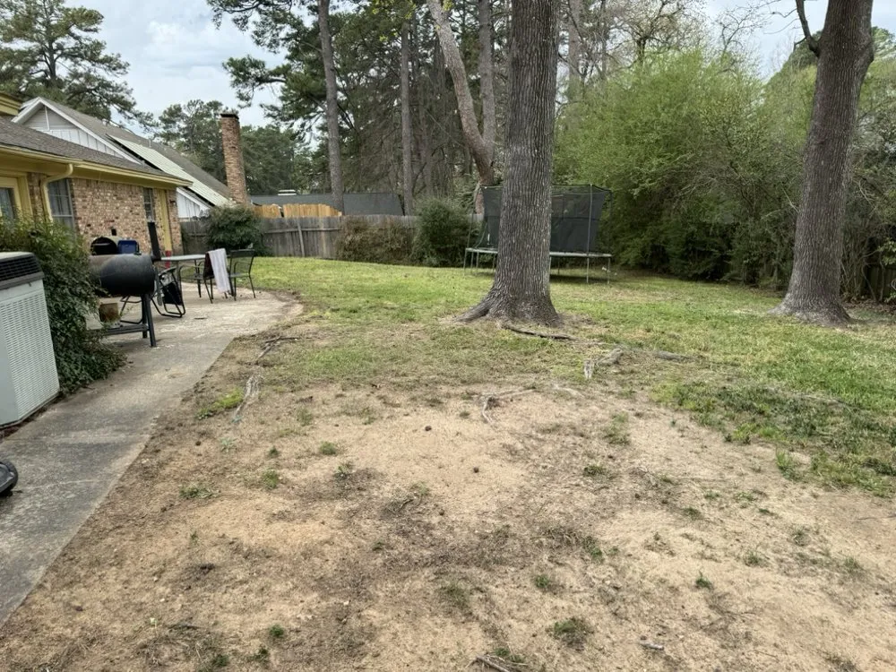 Top-rated outdoor landscaping for residential properties across Tyler, TX - Stewart Loves Lawns