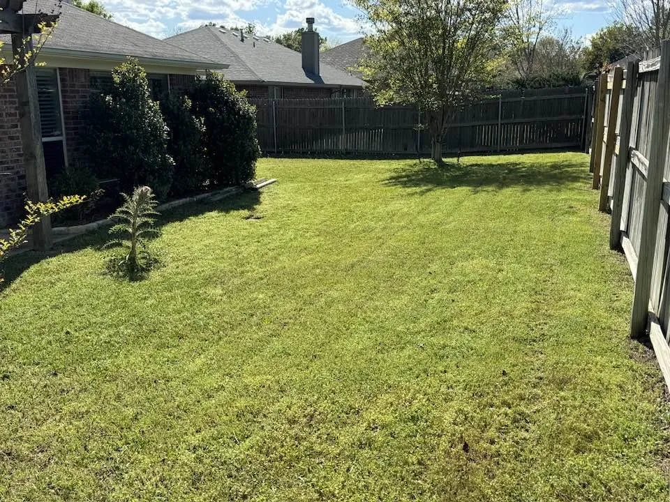 Reliable lawn mowing service for outdoor upgrades in Tyler, TX by Stewart Loves Lawns