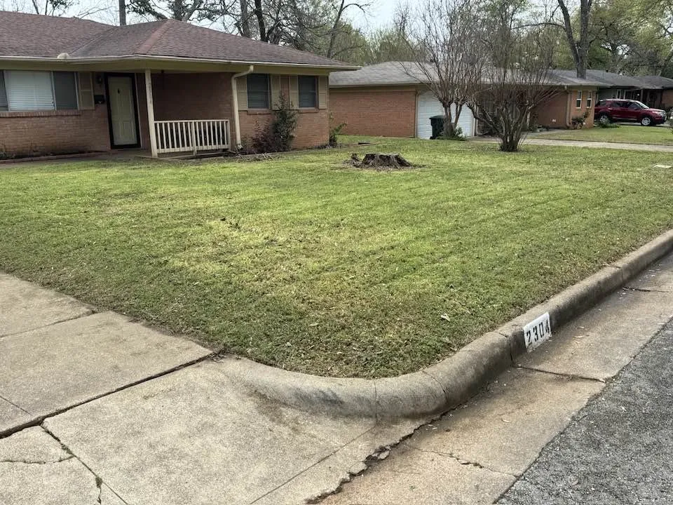 Trusted residential landscaping experts serving Tyler, TX - Stewart Loves Lawns