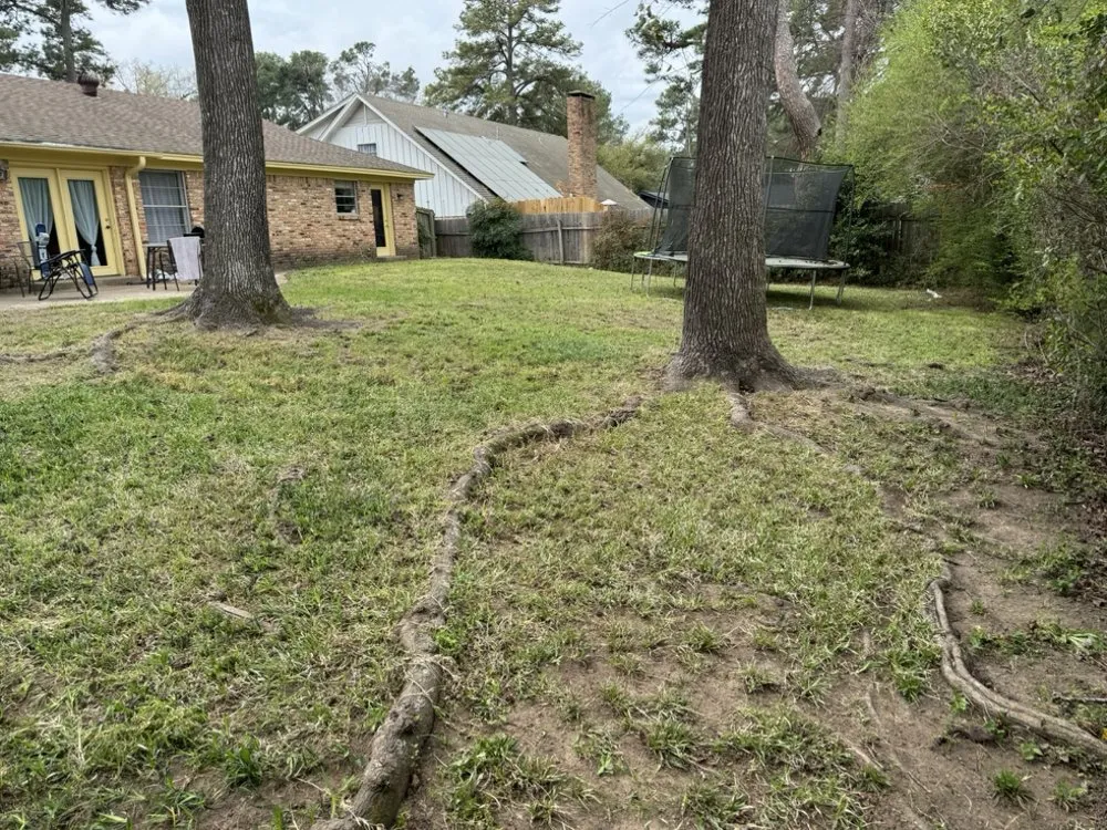 Trusted yard maintenance in Tyler, TX by Stewart Loves Lawns