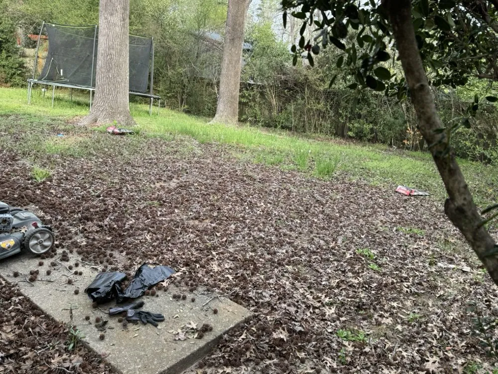 Custom yard maintenance in Tyler, TX - Stewart Loves Lawns