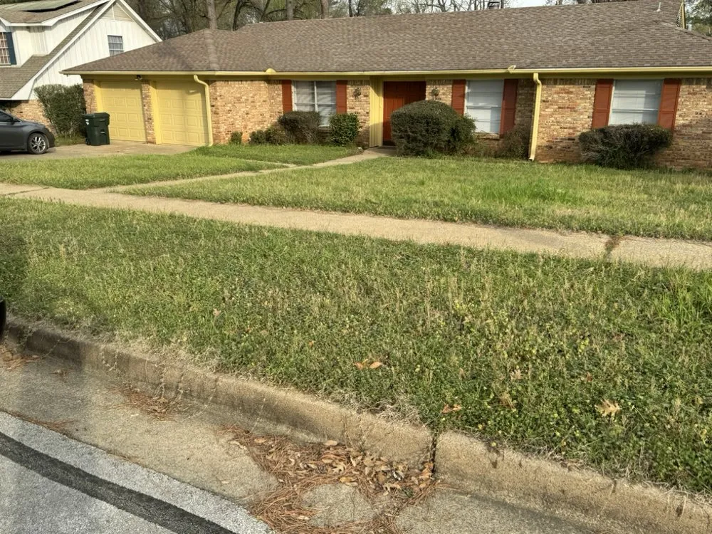 Expert landscaping services in Tyler, TX by Stewart Loves Lawns