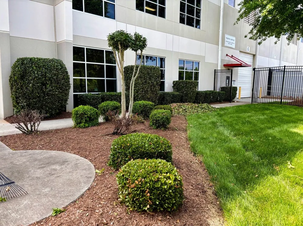 Professional residential landscaping for year-round maintenance across Burlington, NC - Stewart Pro Lawn