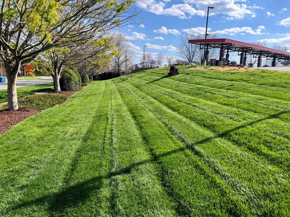 Top-rated yard cleanup service experts serving Burlington, NC - Stewart Pro Lawn