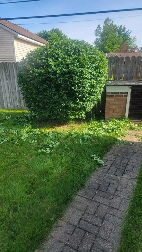 Expert landscaping services in Indianapolis, IN by Stewart's Landscape and Lawncare