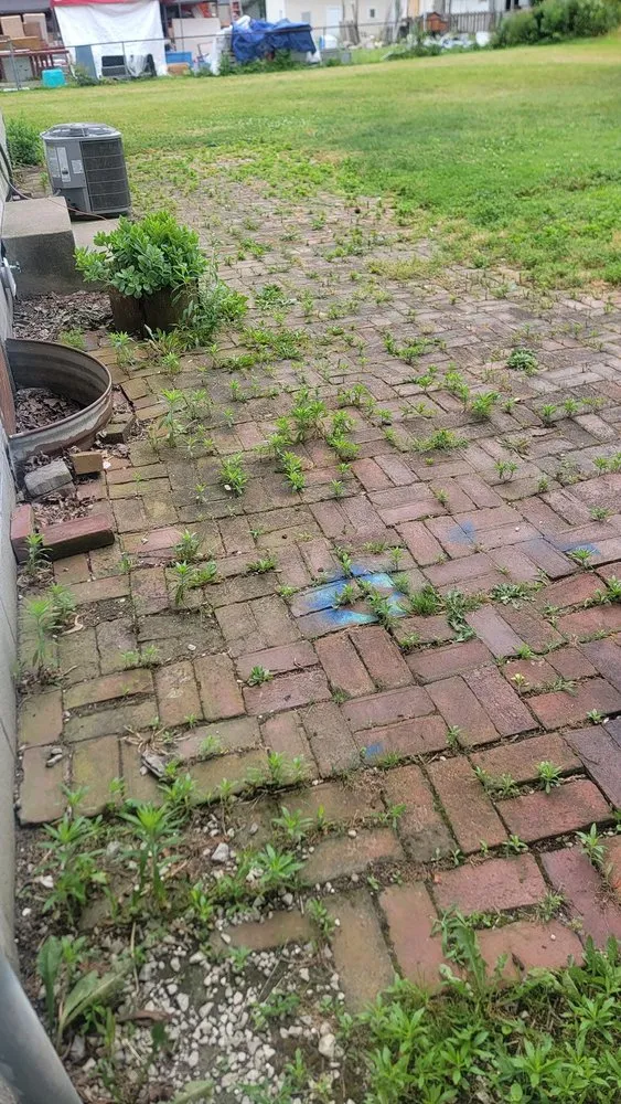 Local residential landscaping experts serving Indianapolis, IN - Stewart's Landscape and Lawncare