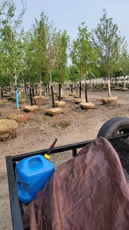 Local landscape installation in Indianapolis, IN - Stewart's Landscape and Lawncare