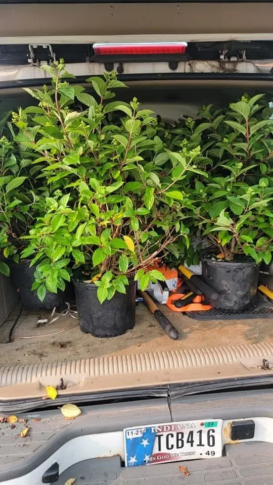 Reliable landscaping services experts serving Indianapolis, IN - Stewart's Landscape and Lawncare