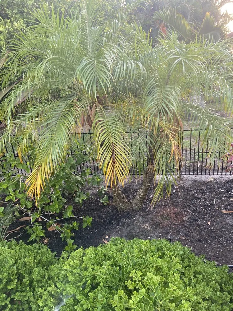 Affordable garden landscaping for beautiful yards across Holmes Beach, FL - Stewarts Landscape Management