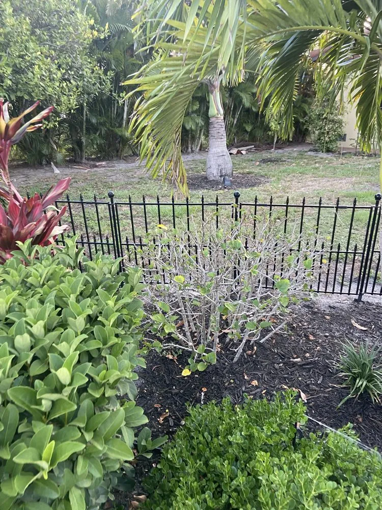 Trusted landscaping services in Holmes Beach, FL - Stewarts Landscape Management
