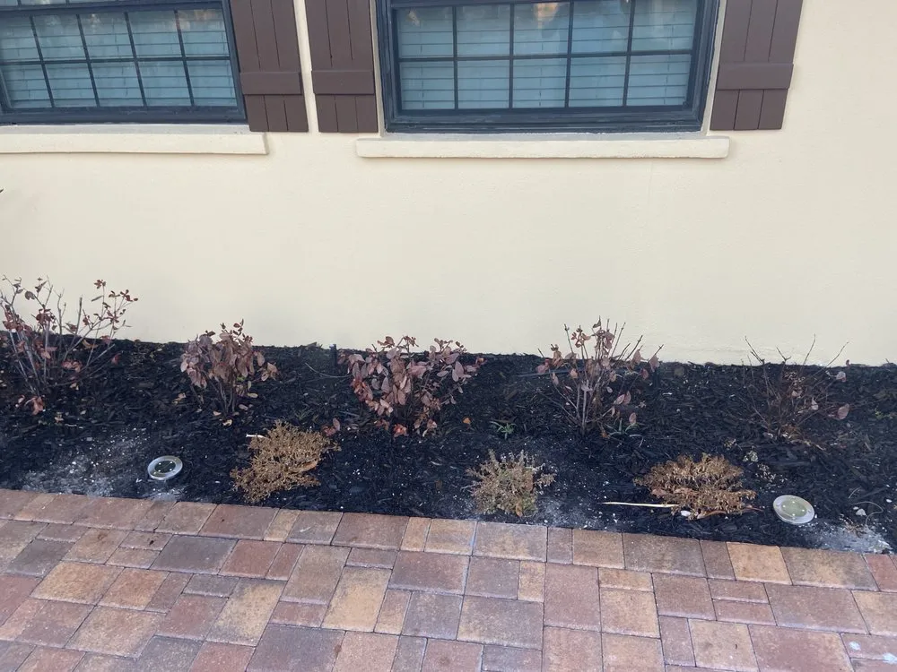 Professional garden landscaping in Holmes Beach, FL by Stewarts Landscape Management