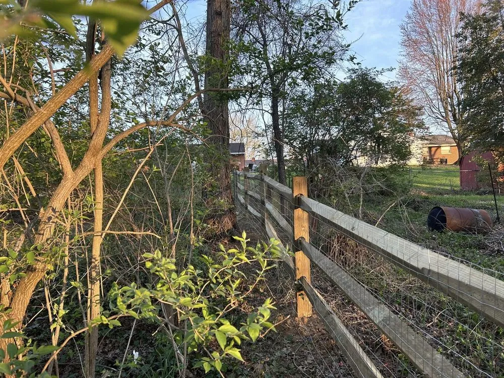 Local yard cleanup service for year-round maintenance in Fayetteville, OH by Stewart's Landscaping & Excavation